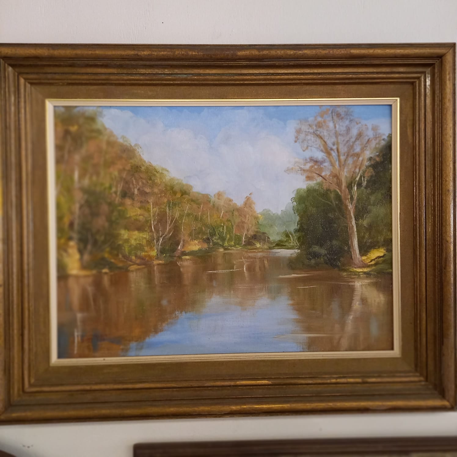 The main photo for /Assets/img/items/55052c46-9b7b-4ecd-ba2b-ece70e4ea655_c10af452-079a-428b-8dda-561b7683feed.jpg